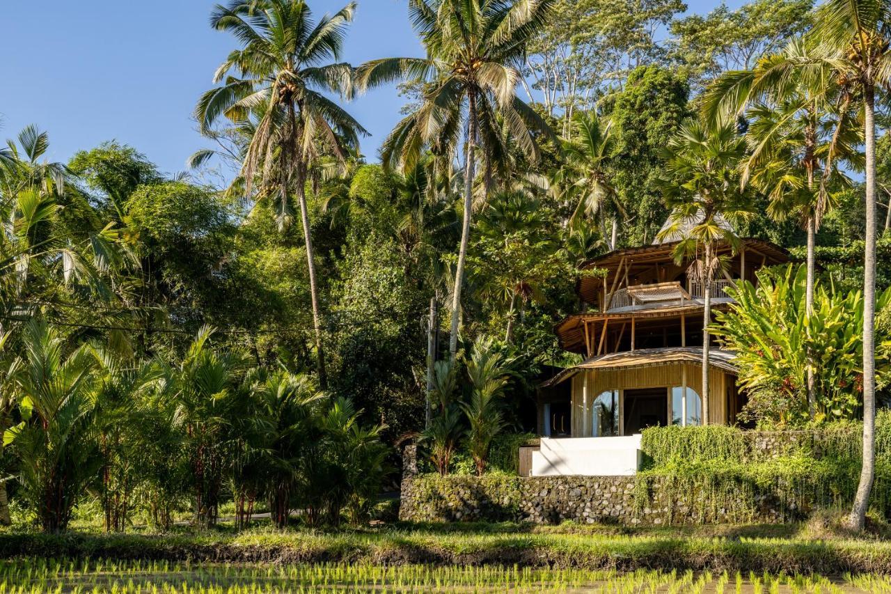 Eco Six Bali Hotell Tampaksiring Eksteriør bilde